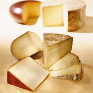 Tipuri de brânză tare: nume, feluri și tradiții de servire