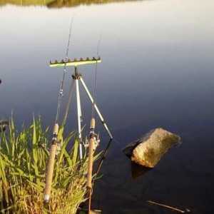 Pescuitul de succes: echipamentul de alimentare pe bâjbâi și momeala selectată în mod corespunzător