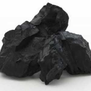 Piatra de cărbune: proprietăți. Cărbune: origine, extracție, preț