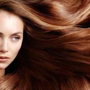 Ухаживающая косметика Concept для волос: описание