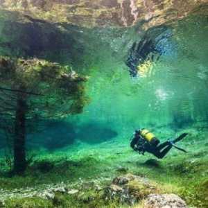 Lacul unic verde: Lumea subacvatică din Austria