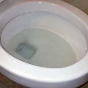 Toaletă anti-vărsare de toaletă: soiuri de anti-splash și recenzii