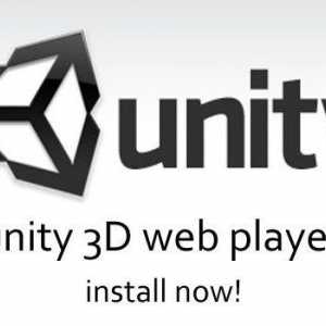 Unity Web Player: cum se instalează pe un computer?