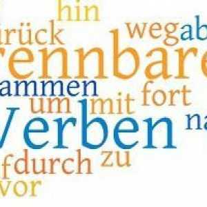 Gestionarea verbelor în limba germană: reguli și exemple