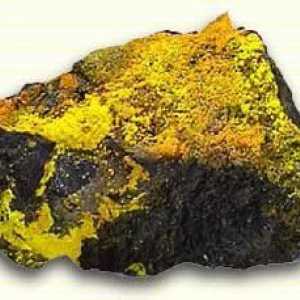 Uraniu de minereu. Cum extrag minereul de uraniu. Uraniu de minereu în Rusia
