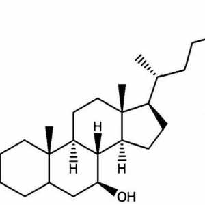 Acid ursodeoxicolic: instrucțiuni de utilizare, analogi, recenzii