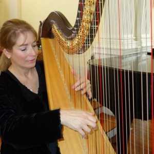 Dispozitivul de instrumente muzicale: câte strings are harpa?