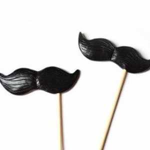 Mustache on stick: face accesoriu original