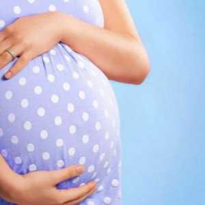 Ecografia în timpul sarcinii: percentila este importantă?