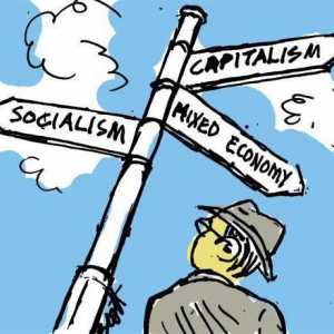 Care sunt caracteristicile funcționării diferitelor sisteme economice: aspectul social