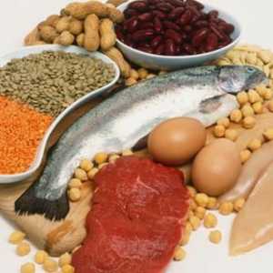 Ce alimente conțin proteine? Răspunsul este evident