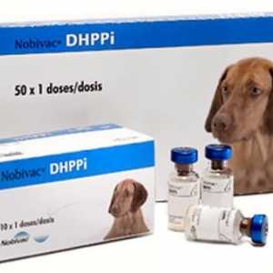Vaccinul "Nobivac" pentru câini și pisici