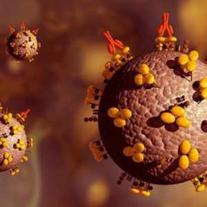 Un vaccin împotriva virusului HIV. Există un vaccin pentru HIV?