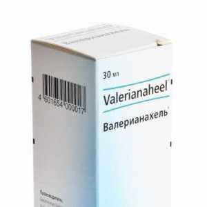 `Valerianahel`: instrucțiuni de utilizare. Recenzii despre remediu homeopatic