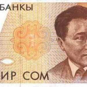 Moneda Kârgâzstanului: descriere și istorie