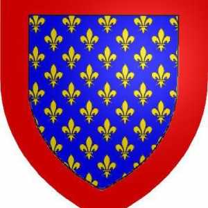 Valois (dinastia). Istoria Franței