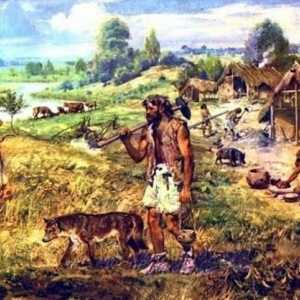 Cele mai importante invenții și descoperiri ale oamenilor primitivi: o descriere, istorie și fapte…