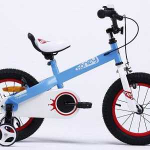 Biciclete Royal Baby - tandem de calitate, luminozitate și durabilitate de neegalat
