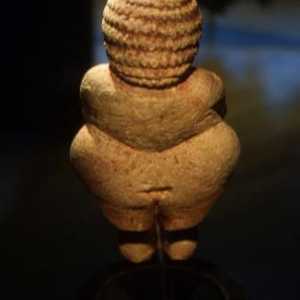 Venus Willendorf: descriere, dimensiune, stil. Venus Willendorf secolul XXI
