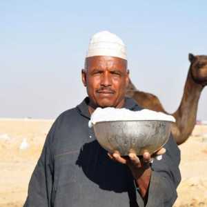Camel lapte: ceea ce este numele, cererea