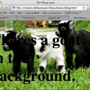 Amenajarea site-ului: cum se face o imagine de fundal în html
