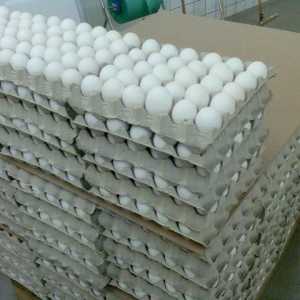 Greutatea oului de o găină fără coajă. Greutatea medie a ouălor de pui