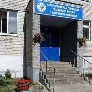Clinica veterinară (Severodvinsk): descriere, adresă