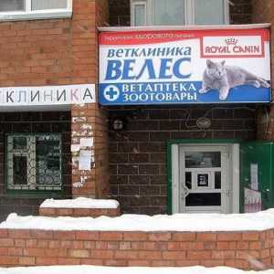 Vetclinic `Veles` în Obninsk: descriere, servicii, comentarii