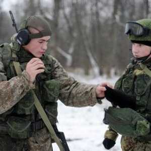 Tipurile și ramurile Forțelor Armate ale Federației Ruse și scopul acestora