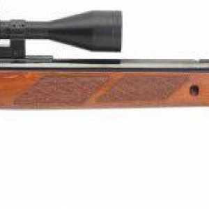 Rifle Gamo Hunter 1250: prezentare generală, specificații și fotografii