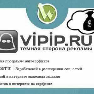 Vipip.ru: comentarii. Decepție sau câștiguri reale?