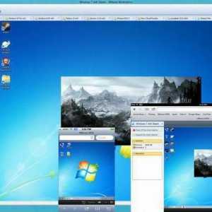 Virtualizarea unei mașini fizice VMware Workstation 10: Personalizare
