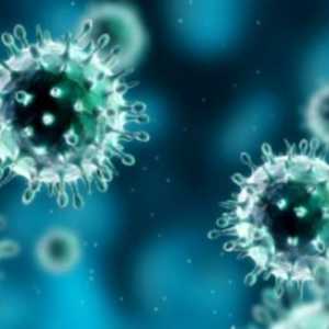 Virusul H1N1: simptome, tratament și prevenire