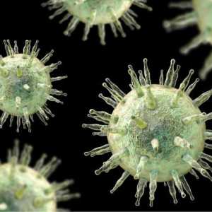 Virusul Epstein-Barra: tratament, simptome și cauze