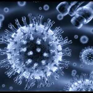 Virusul infecției cu Epstein-Barr: relevanță, epidemiologie, clinică, tratament