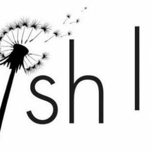 Wish Lists: cum se completează, lista de dorințe și cadouri