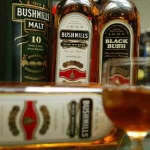 Whiskey Bushmills: o istorie de patru secole