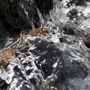 `Vittel` - apa creată de natură
