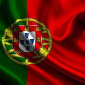 O viză pentru Portugalia. Înregistrarea documentelor pentru obținerea vizei