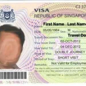 Visa la Singapore pentru ruși: reguli de bază pentru obținerea