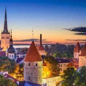 Centrul de viză Estonian din Moscova: tot ce trebuie să știți despre acest lucru