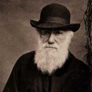 Contribuția lui Darwin la biologie este scurtă. Charles Darwin a contribuit la dezvoltarea…