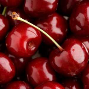 Gust de cirese Cherry Cherry: Descrierea soiurilor