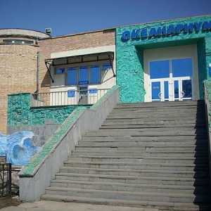 Vladivostok Oceanarium: fotografie, birou, adresa