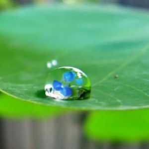 Balanța de apă este cel mai important indicator al ecosistemului
