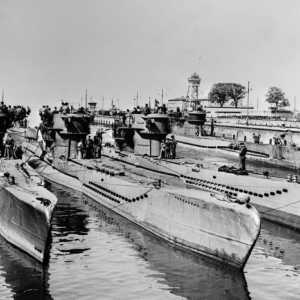 "Lupii lui Deniz" și submarinele celui de-al Treilea Reich