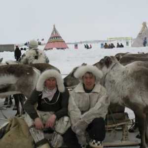 Восточная Сибирь: климат, природа