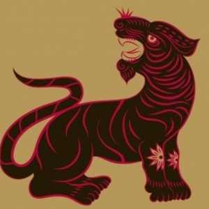 Horoscopul de Est și trăsăturile lui: Tigru-femeie și Tiger-om - este posibilă compatibilitatea?