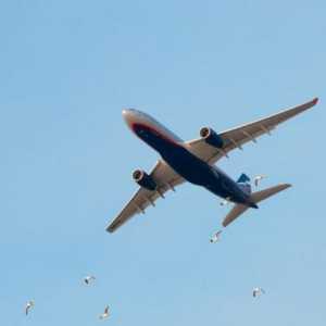 Returnarea biletului (Aeroflot): reguli și plata unei amenzi
