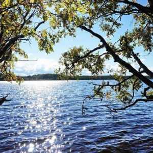 Totul despre lac Goloredayskoye (regiunea Leningrad): alege un loc pentru pescuit și recreere